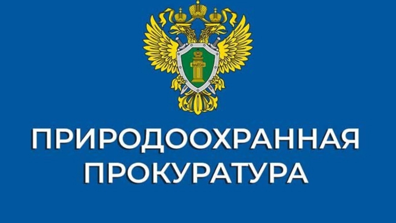 В ПРИМОРСКОМ КРАЕ ПРИРОДООХРАННЫМ ПРОКУРОРОМ ВЗЫСКАН УЩЕРБ, ПРИЧИНЕННЫЙ НЕЗАКОННОЙ ОХОТОЙ ОБЪЕКТАМ ЖИВОТНОГО МИРА.