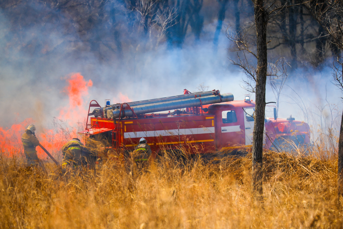 62 административных дела о нарушении пожарной безопасности возбуждено в Приморье.