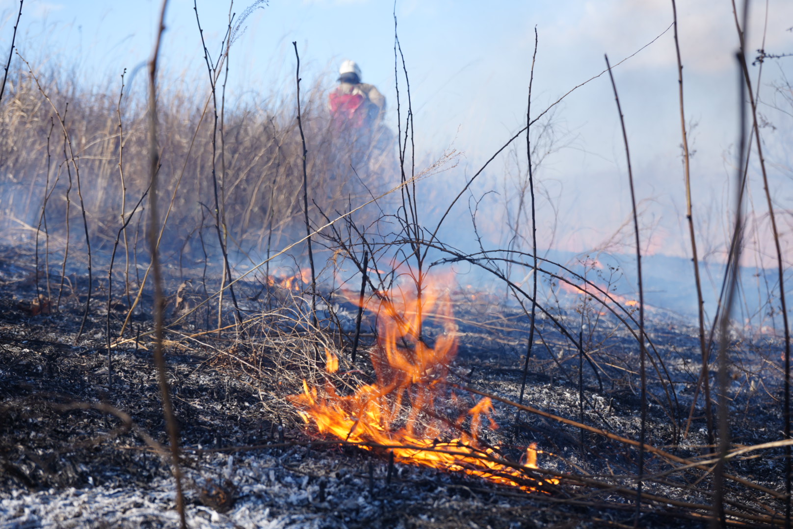 Более 20 поджигателей сухой травы наказаны в Приморье.