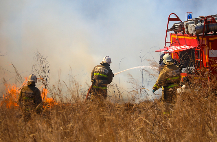 Почти 30 пожаров ликвидировано в Приморье за сутки