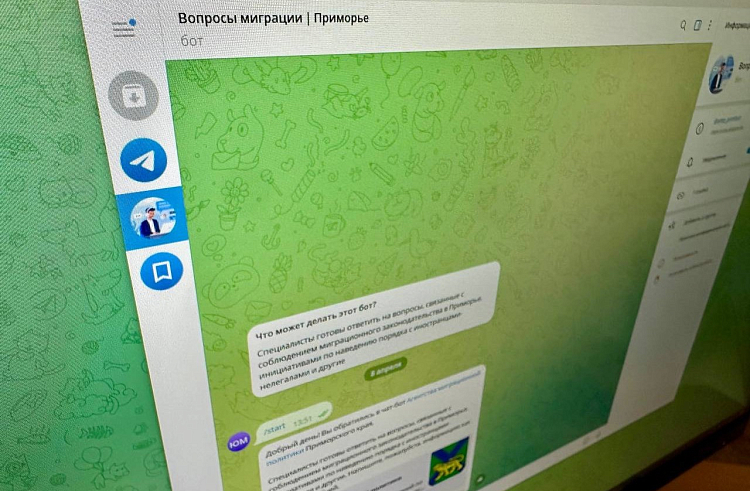 Чат-бот по миграции заработал в Приморье.