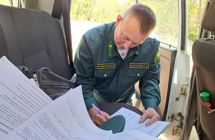 Свыше 2,6 миллиона рублей штрафов заплатили нарушители правил пожарной безопасности в лесах в Приморье