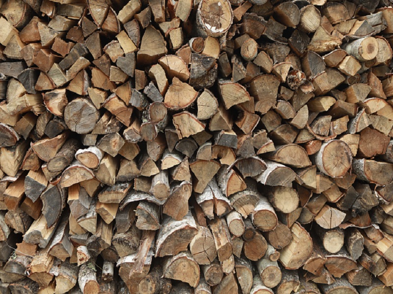 100 миллионов рублей направлено на приобретение дров в Приморье
