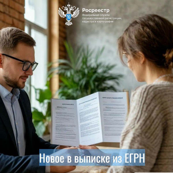 Новое в выписке из ЕГРН.