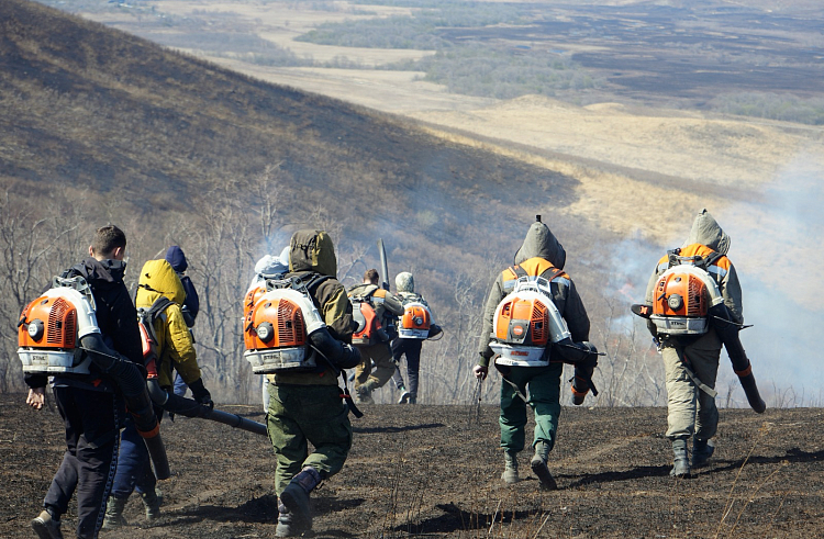 В Приморском крае потушили 28 лесных и природных пожаров за сутки