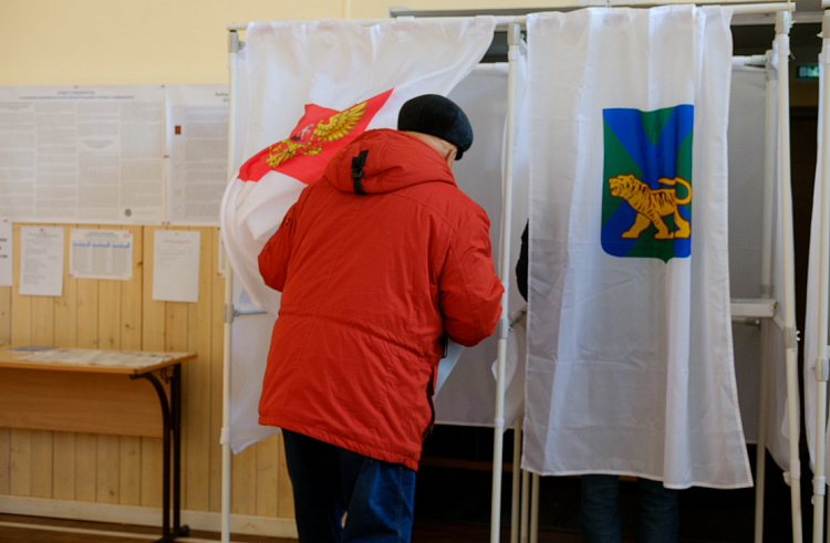 Более 3 тысяч общественных наблюдателей уже обучили в Приморье для работы на выборах Президента РФ.