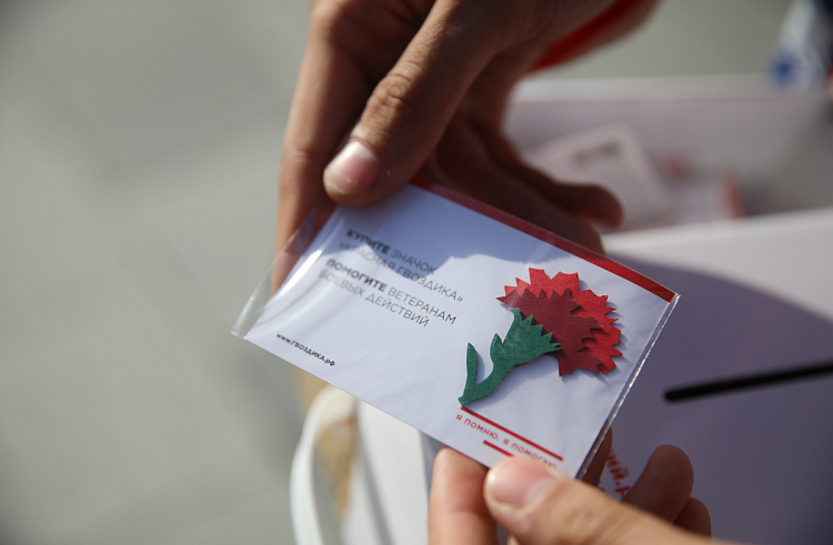 В преддверии Дня Победы Приморье присоединится к патриотической акции «Красная гвоздика».