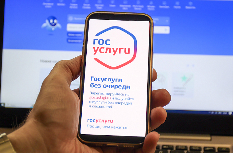 Защититься от мошенников приморцам поможет новый сервис на Госуслугах. ОБЗОР.