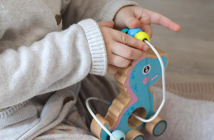 Более 14 миллионов рублей направили на выплаты приёмным семьям в Приморье.