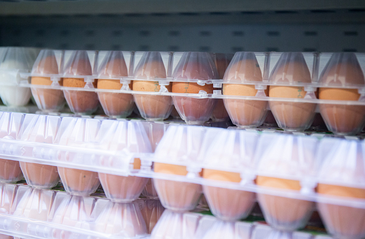 Господдержку производителям яиц увеличат в Приморье.