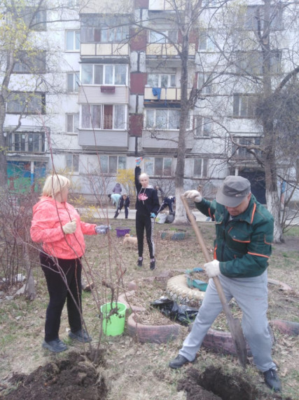 Высажена новая «Аллея памяти» из сирени.