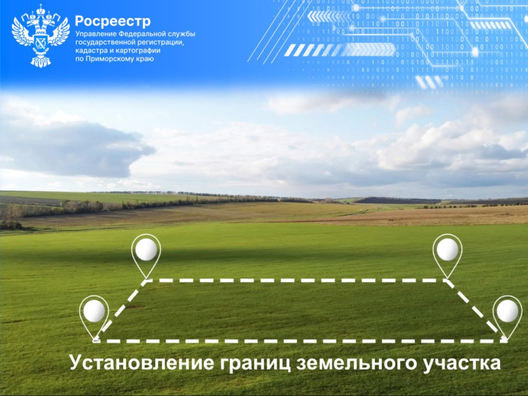 Почему так важно установить границы земельного участка.
