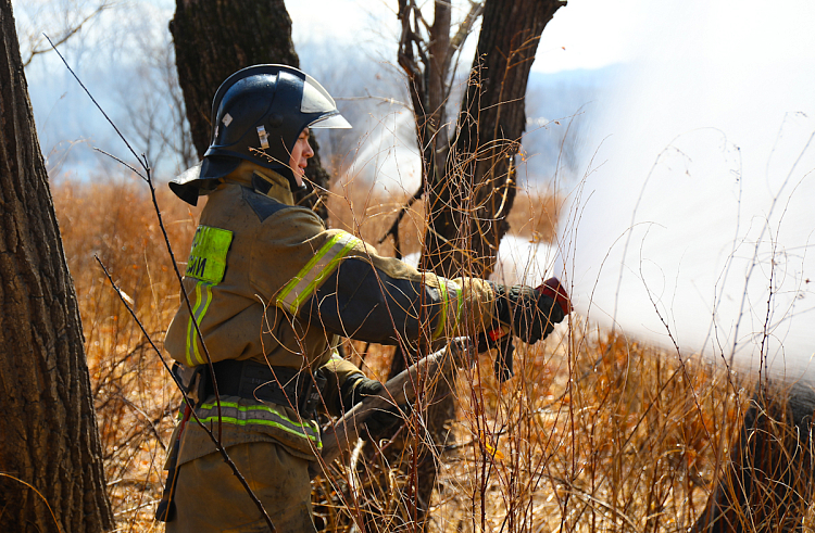 Изменены сроки начала пожароопасного сезона в Приморье.