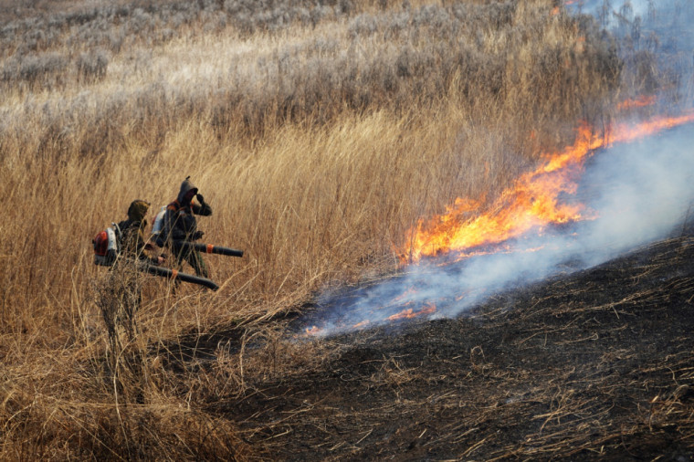 В Приморском крае потушили 28 лесных и природных пожаров за сутки.