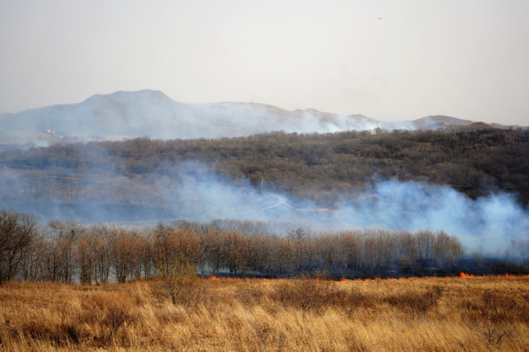 Природные пожары на площади более 2000 гектаров потушили в Приморье.